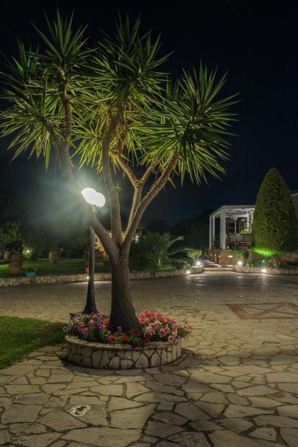 Mystic Garden Apartments Zakynthos stad Exteriör bild